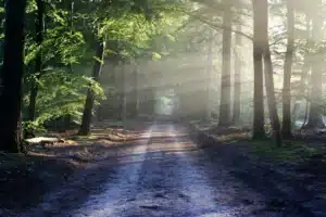 Activités groupe en périgord