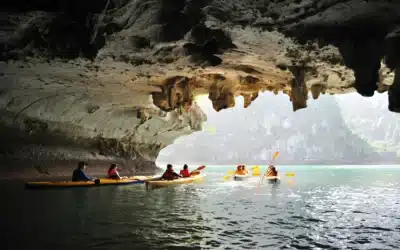 Séjour en pleine nature : 10 idées d’activités en plein air pour un groupe en Dordogne (Périgord)